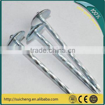 Guangzhou umbrella roofing nails/umbrella head roofing nails/umbrella nails