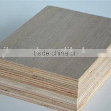 12mm mr Glue Shandong Film Faced Plywood Construction Plywood Supplier photo-3