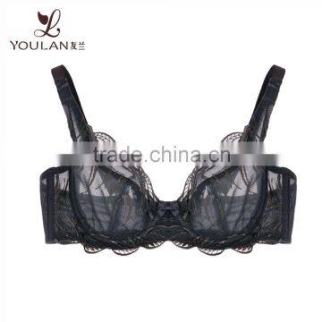 Fancy Transparent Lace Very Hot Sexy Women Bra Underwear