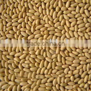 snacks peanuts(blanched)