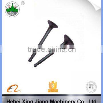 Chinese High Quality Engine Valve Tractor Valve