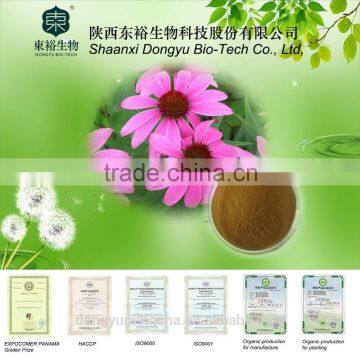 Echinacea Purpurea P.E. with 4% polyphenols Cichoric acid