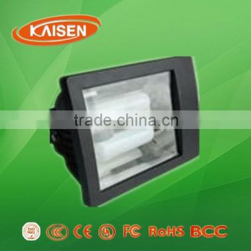 40W 80W 120W 150W 200W china energy-saving price induction lamp flood light