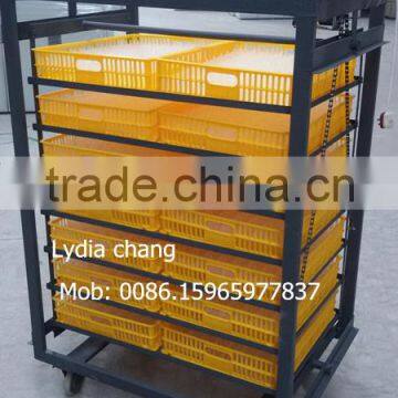 Big Egg Incubator Manufacturer 1232 Eggs Setter&hatcher Combined Egg Incubator Machine(skype: Zh-lydia)