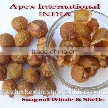 Sapindus Mukorossi / Soap Nut Pods / Soap Nut Powder photo-3
