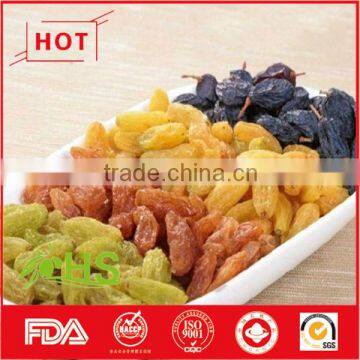 Dried Fruit of Dried Cherry/kiwifruit/kumquat/apricot photo-3