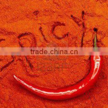 SPICY RED CHILI POWDER EXPORTER