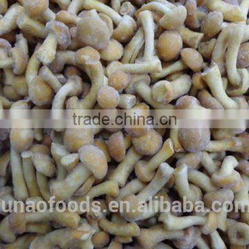 Grade A Chinese Nameko Mushroom Spawn for Sale photo-2