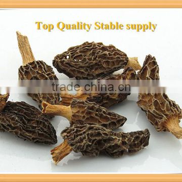 wild top quality dried stemless morel mushrooms or morchella conica for sale