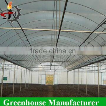 Strong Structure Galvanized Polytunnel Greenhouse photo-3