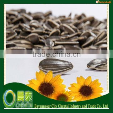 Bulk Raw Sunflower Seeds Material Reasonable Price