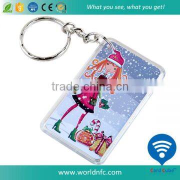 Waterproof 13.56MHZ F08 Compatible 1k RFID Keyfob/ Keychain/ Key Tag photo-2