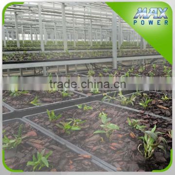 Glass/Film/Plastic/PC Sheet Greenhouse