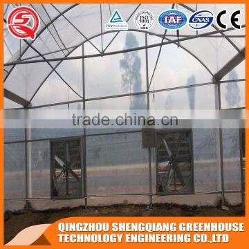 Plastic Film Greenhouse for Vegetables Planting,flowers,culture photo-6