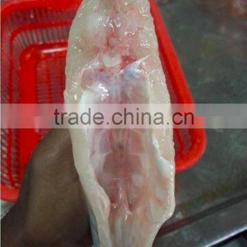 Frozen Leatherjacket Fish HGT photo-4