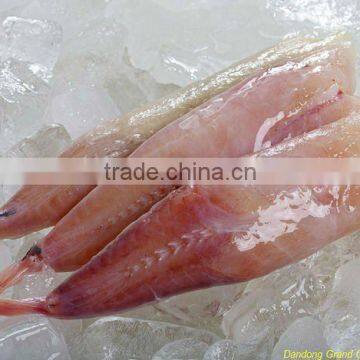 frozen monkfish seafood