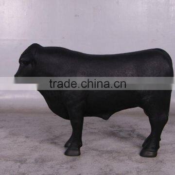 Definitive Angus Looking Right photo-4