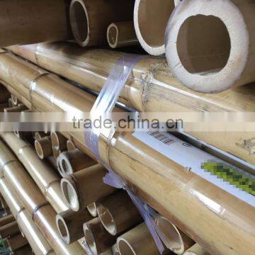 Raw Moso Bamboo Poles /canes/sticks photo-3