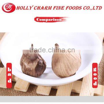 We Promise the Best Service and Product Fermented Peeled Solo Black Garlic photo-5