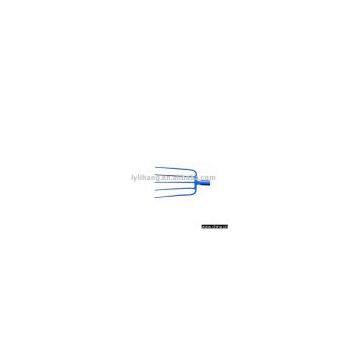 F182  Fork Head