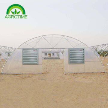 steel structures green house with  Polycarbonate Sheets for strawberry and flower