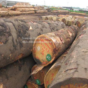 Cheap Kosso / Sapelli / Tali / Teak / Pachyloba Wood Logs photo-4