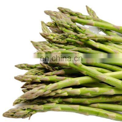 Chinese shandong new crop factory price good quality IQF frozen  asparagus tips