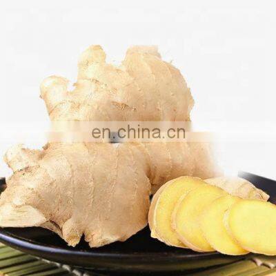 New Crop High Quality Chinese Ginger Fresh Ginger photo-2