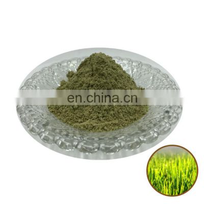 High quality organic barley wheat grass powder