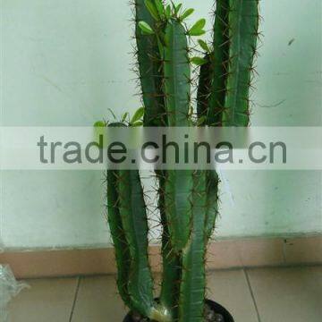 artificial green plants/artificial indoor cactus/artificial potted cactus/artificial cactus plant