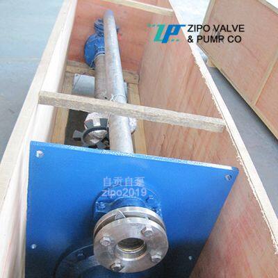 ZIPO ZYF Type Non Blocking Immersion Submerged Pump photo-4
