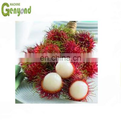 electric rambutan peeling machine