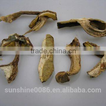 Dried Boletus Edulis Sliced Porcini Mushroom Farm Investors photo-5