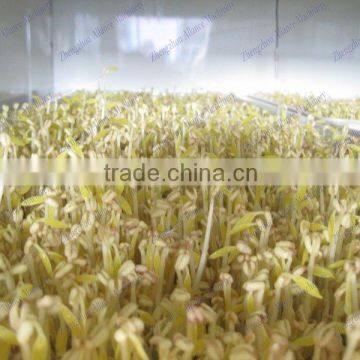 Hot Sales Automatic Equipments for Shoots /peas /radish /alfalfa Sprouts Cultivate photo-3