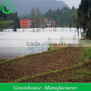 Galvanized Structure Low Tunnel Greenhouse