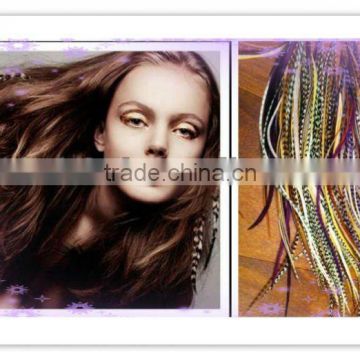 2012 New Style Fashionable Feather Hair Extension