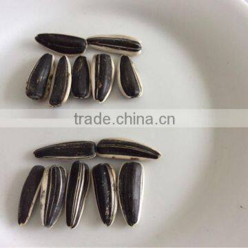 Long type sunflower seeds sunflower seed ton price