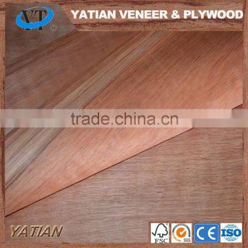 Rotary cut 0.2-0.3mm plywood face water gum veneer