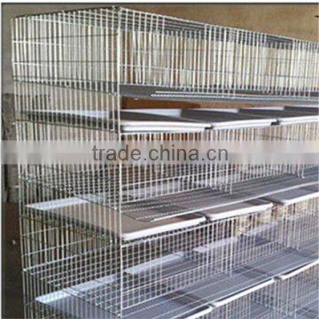 China professional made quail battery cages for sale