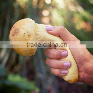 2014 Now Hot Stress matsutake Mushroom Soft Toy Squeeze Toy