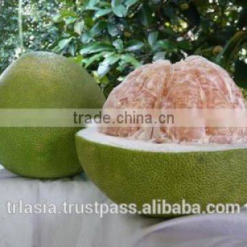 Pomelo photo-2
