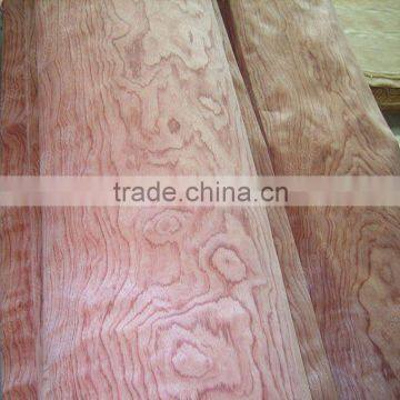 hot sale sliced cut bubinga veneer