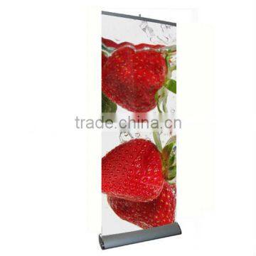 Outdoor Indoor Roll Up Screen Manufacturer