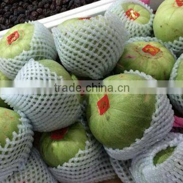 High Quality Soft Foam Net, Strawberry Net Wrappers, PE Foam Flower Bud Protective Netting photo-3