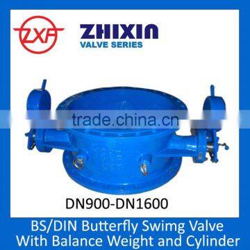 butterfly swing check valve