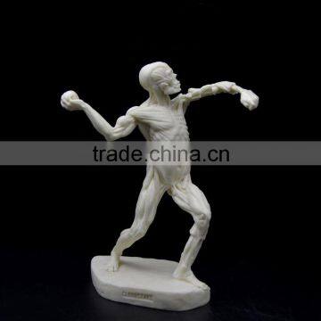 Plastic Skeleton Anatomical Model Small Plastic Statue