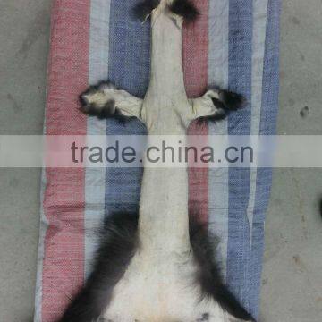 Natural Cheapest Fox Fur Skins / Silver Fox Fur Skins / Raw Fur Skins photo-2