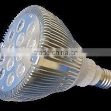 12*1W LED PAR38 light