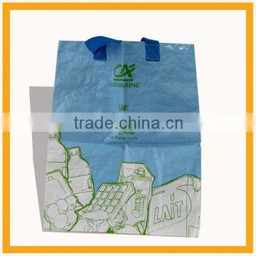 2013 pp woven storage bags