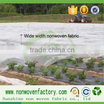 Quanzhou Sunshine spunbond non woven fabric weed controlfabric